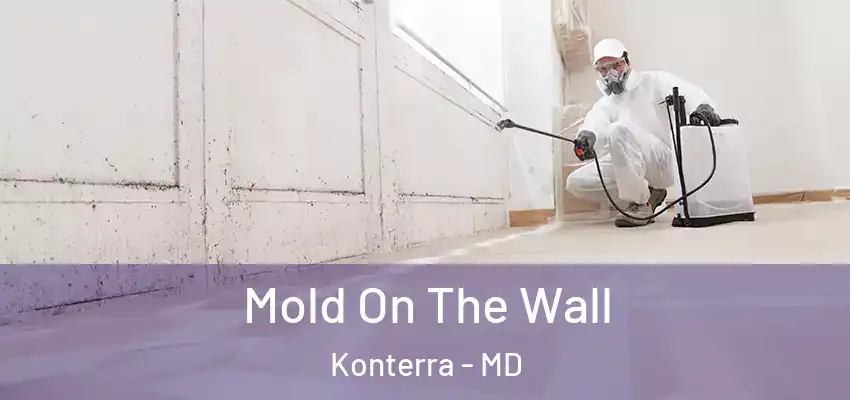 Mold On The Wall Konterra - MD