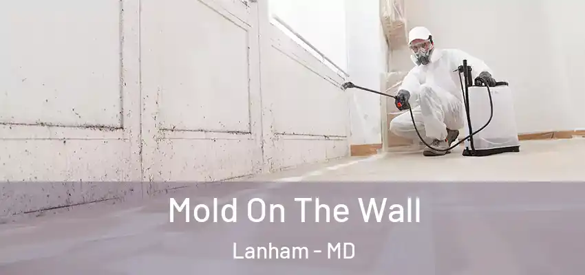 Mold On The Wall Lanham - MD