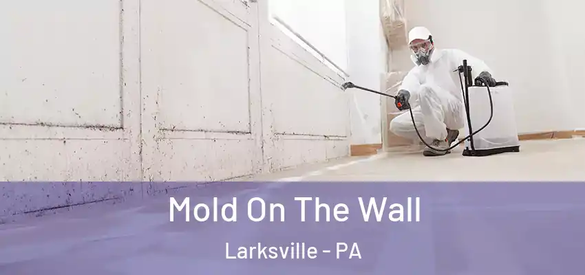 Mold On The Wall Larksville - PA