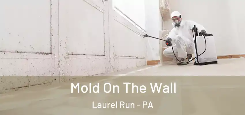  Mold On The Wall Laurel Run - PA