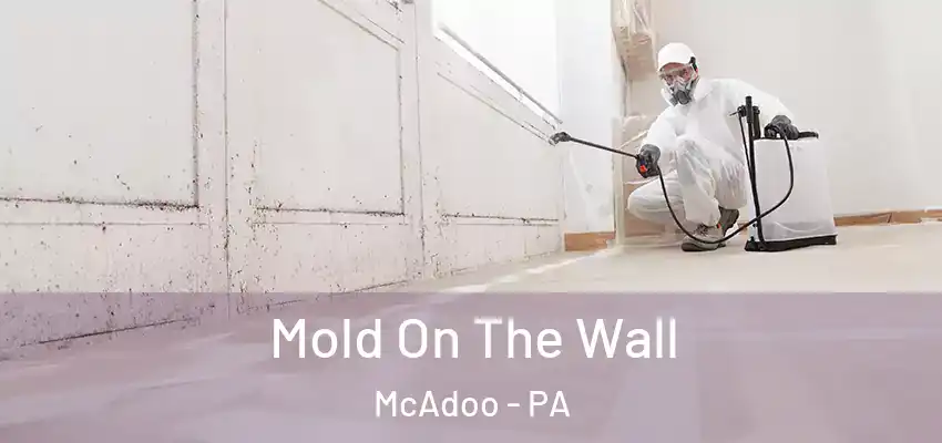  Mold On The Wall McAdoo - PA