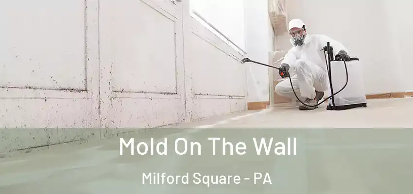 Mold On The Wall Milford Square - PA