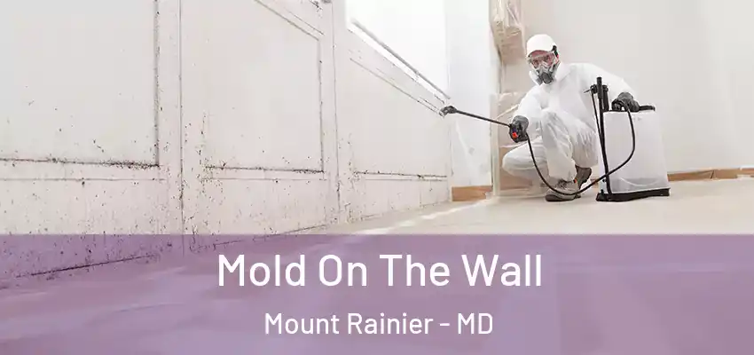 Mold On The Wall Mount Rainier - MD