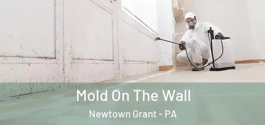 Mold On The Wall Newtown Grant - PA