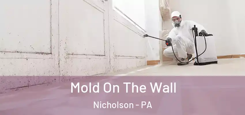 Mold On The Wall Nicholson - PA