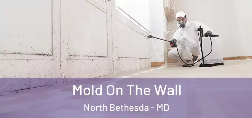 Mold On The Wall North Bethesda - MD