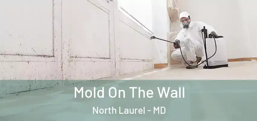 Mold On The Wall North Laurel - MD