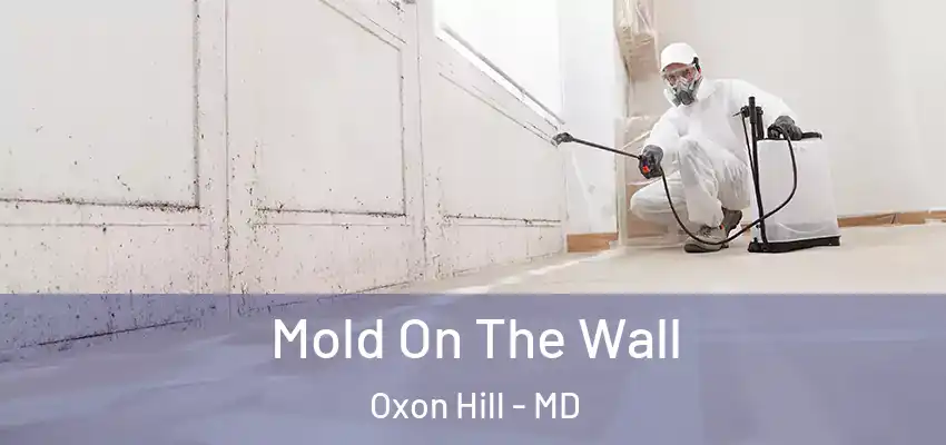 Mold On The Wall Oxon Hill - MD