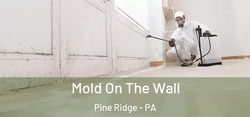 Mold On The Wall Pine Ridge - PA