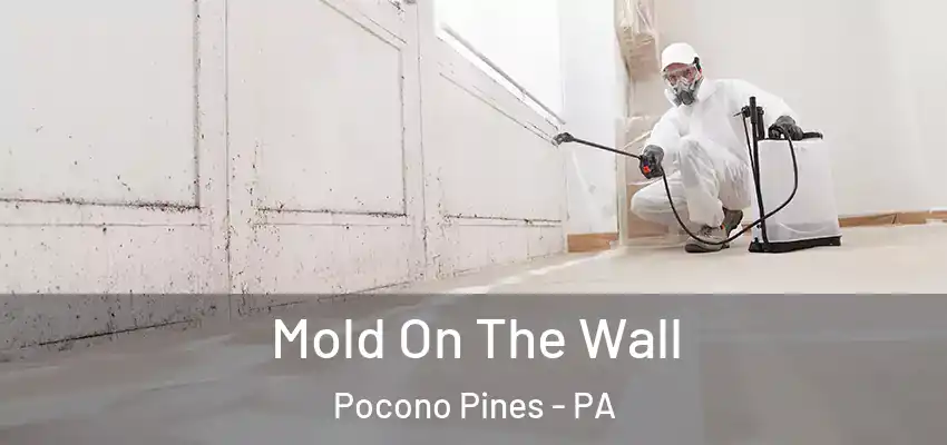 Mold On The Wall Pocono Pines - PA