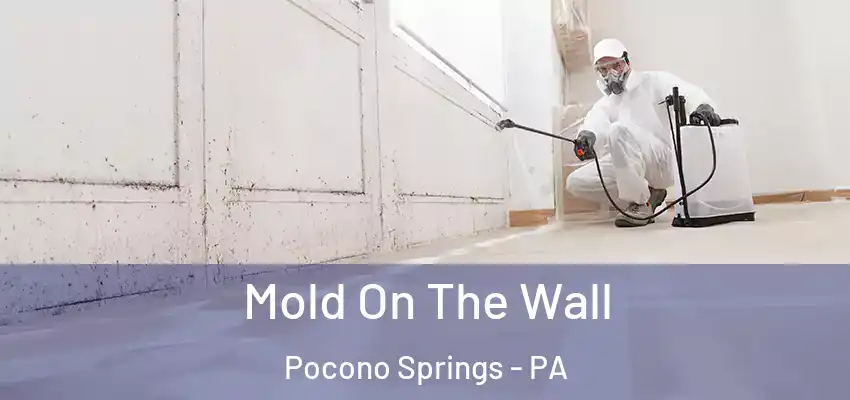 Mold On The Wall Pocono Springs - PA