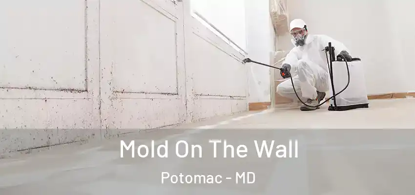 Mold On The Wall Potomac - MD