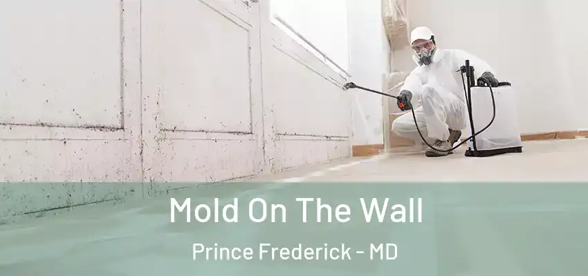 Mold On The Wall Prince Frederick - MD