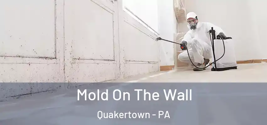 Mold On The Wall Quakertown - PA