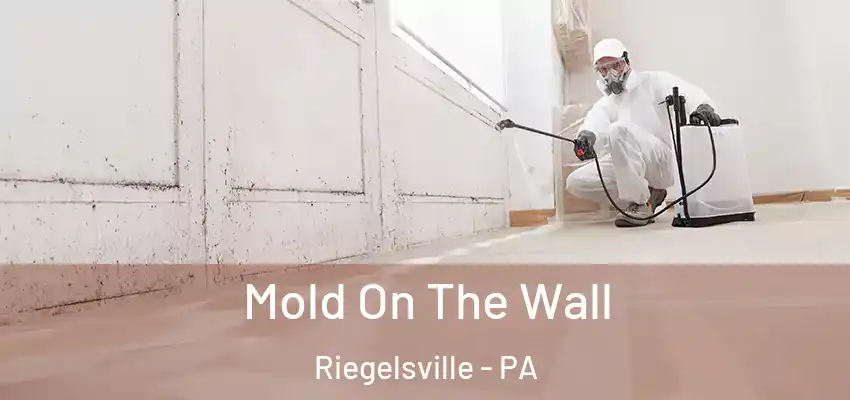  Mold On The Wall Riegelsville - PA