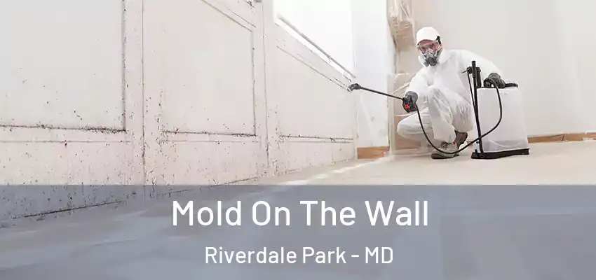  Mold On The Wall Riverdale Park - MD