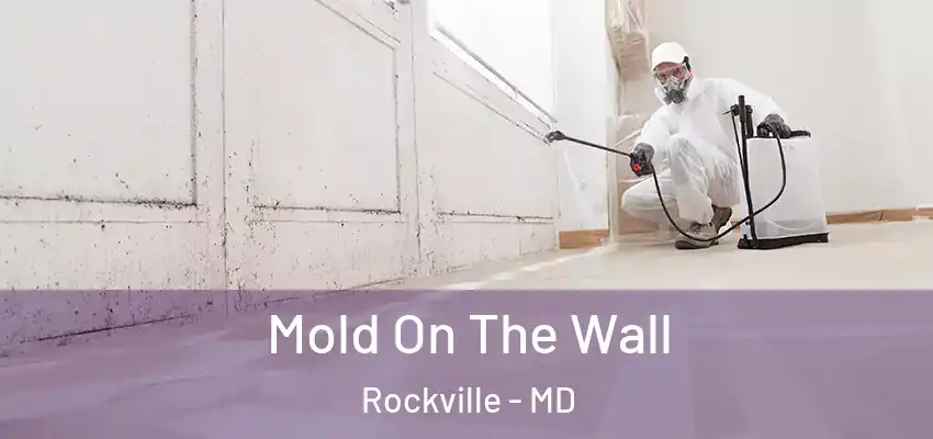 Mold On The Wall Rockville - MD