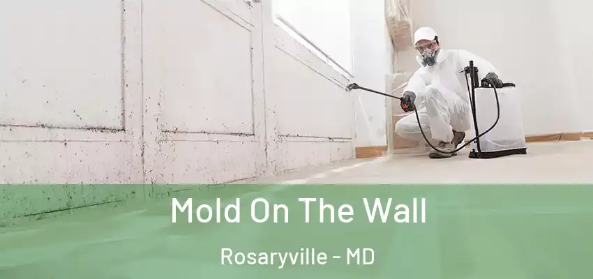 Mold On The Wall Rosaryville - MD