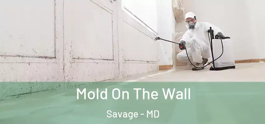 Mold On The Wall Savage - MD