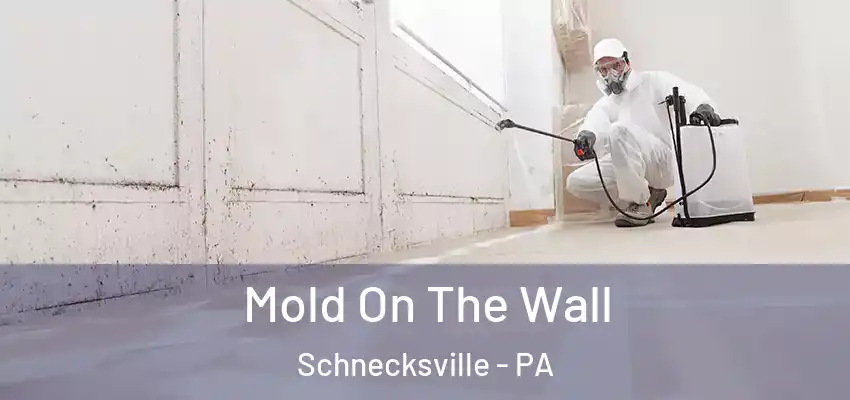 Mold On The Wall Schnecksville - PA