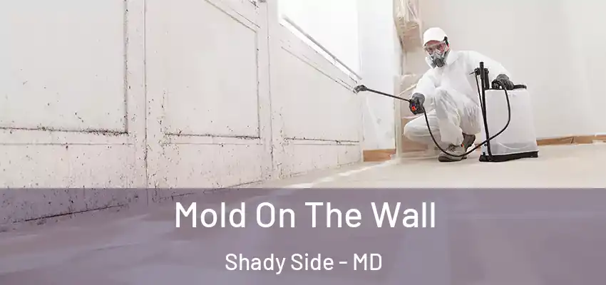  Mold On The Wall Shady Side - MD
