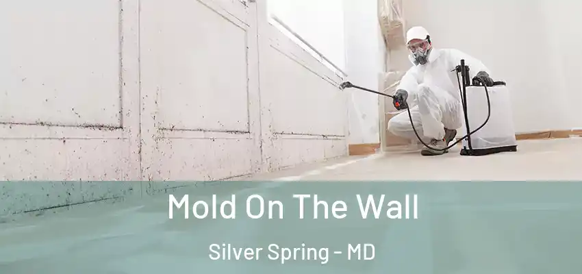 Mold On The Wall Silver Spring - MD