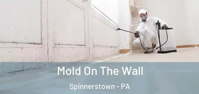 Mold On The Wall Spinnerstown - PA