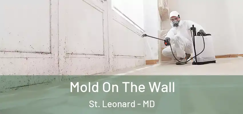 Mold On The Wall St. Leonard - MD