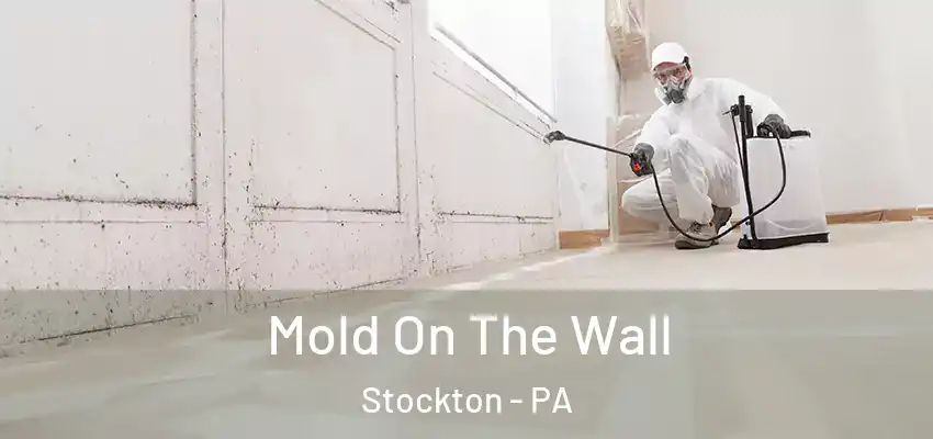 Mold On The Wall Stockton - PA