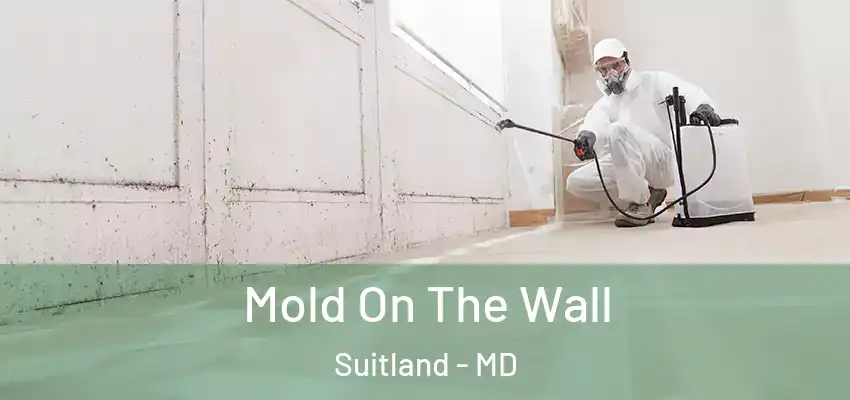 Mold On The Wall Suitland - MD