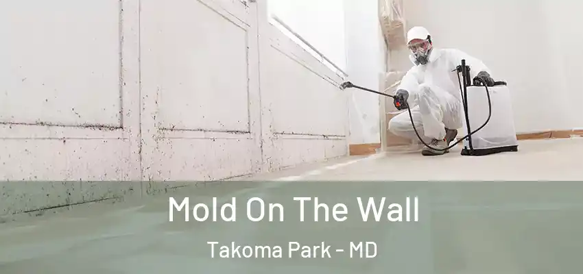 Mold On The Wall Takoma Park - MD