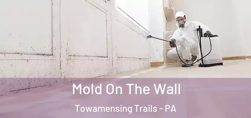 Mold On The Wall Towamensing Trails - PA
