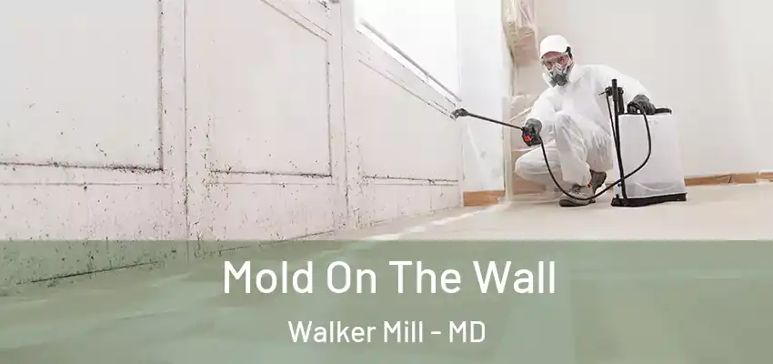 Mold On The Wall Walker Mill - MD