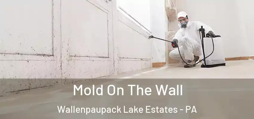 Mold On The Wall Wallenpaupack Lake Estates - PA