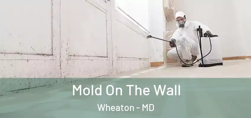 Mold On The Wall Wheaton - MD