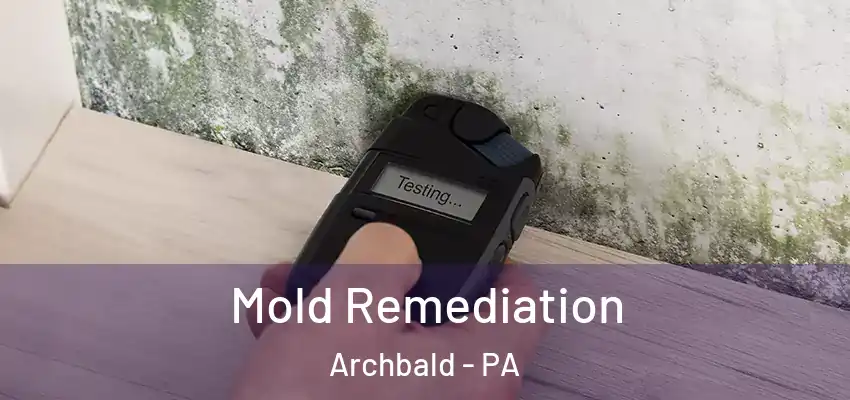 Mold Remediation Archbald - PA