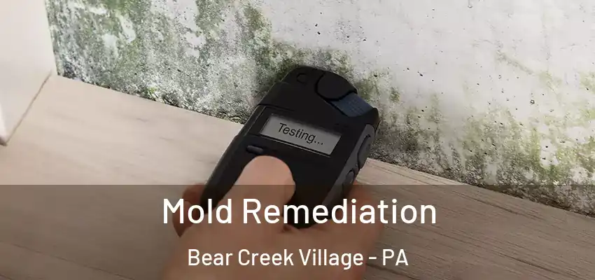 Mold Remediation Bear Creek Village - PA