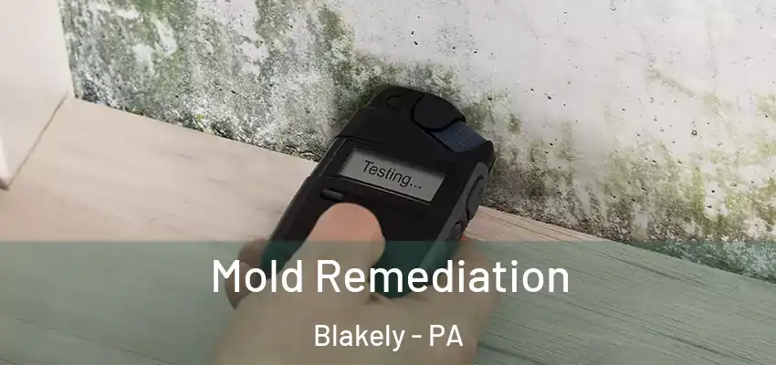 Mold Remediation Blakely - PA