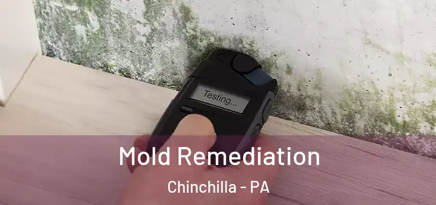 Mold Remediation Chinchilla - PA