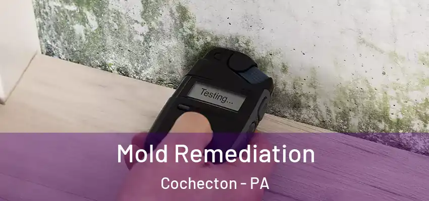 Mold Remediation Cochecton - PA