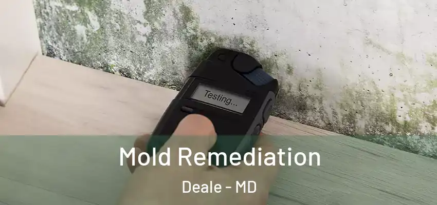 Mold Remediation Deale - MD