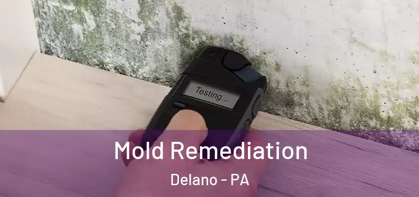 Mold Remediation Delano - PA