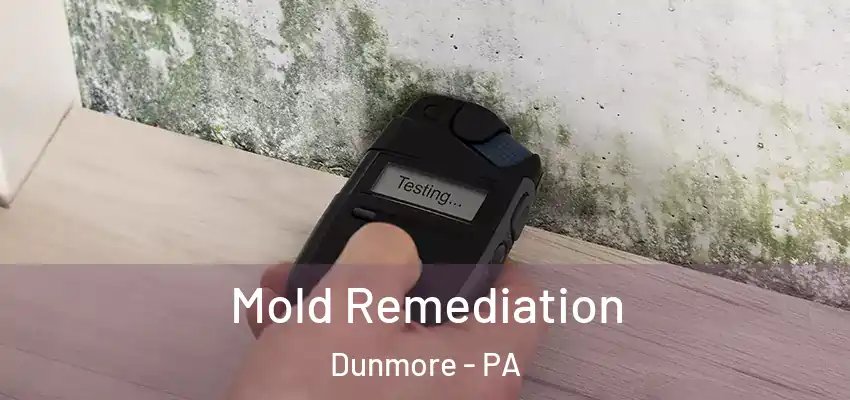 Mold Remediation Dunmore - PA