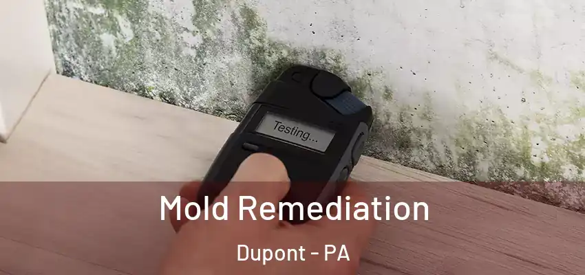 Mold Remediation Dupont - PA