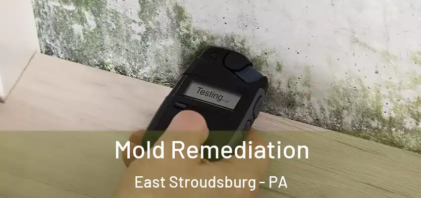 Mold Remediation East Stroudsburg - PA