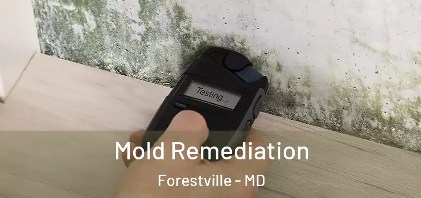 Mold Remediation Forestville - MD