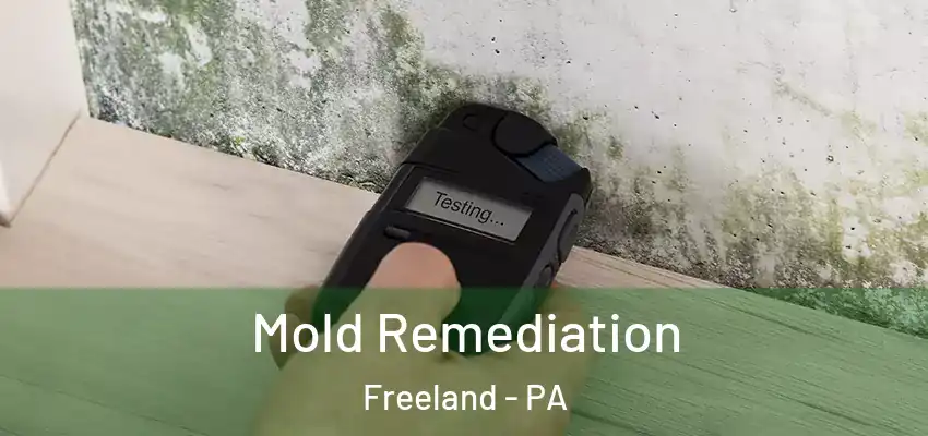 Mold Remediation Freeland - PA