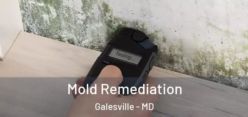 Mold Remediation Galesville - MD