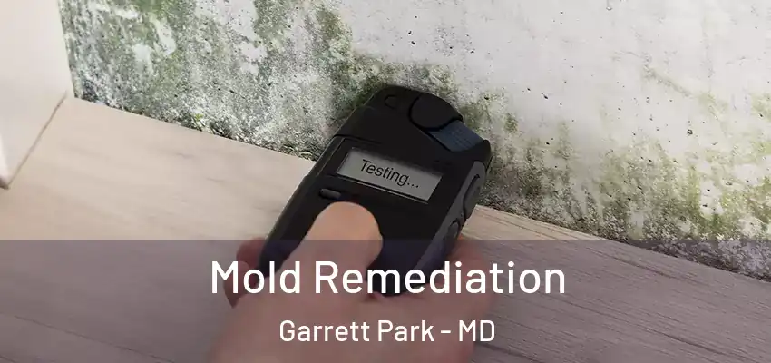Mold Remediation Garrett Park - MD