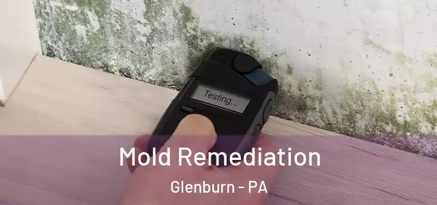 Mold Remediation Glenburn - PA